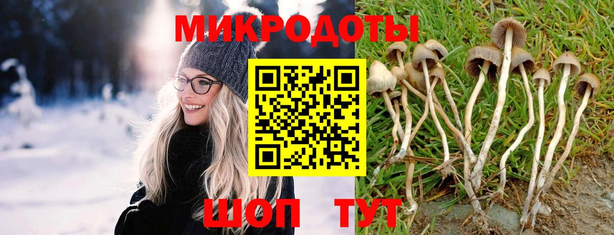 Псилоцибиновые грибы GOLDEN TEACHER Пенза