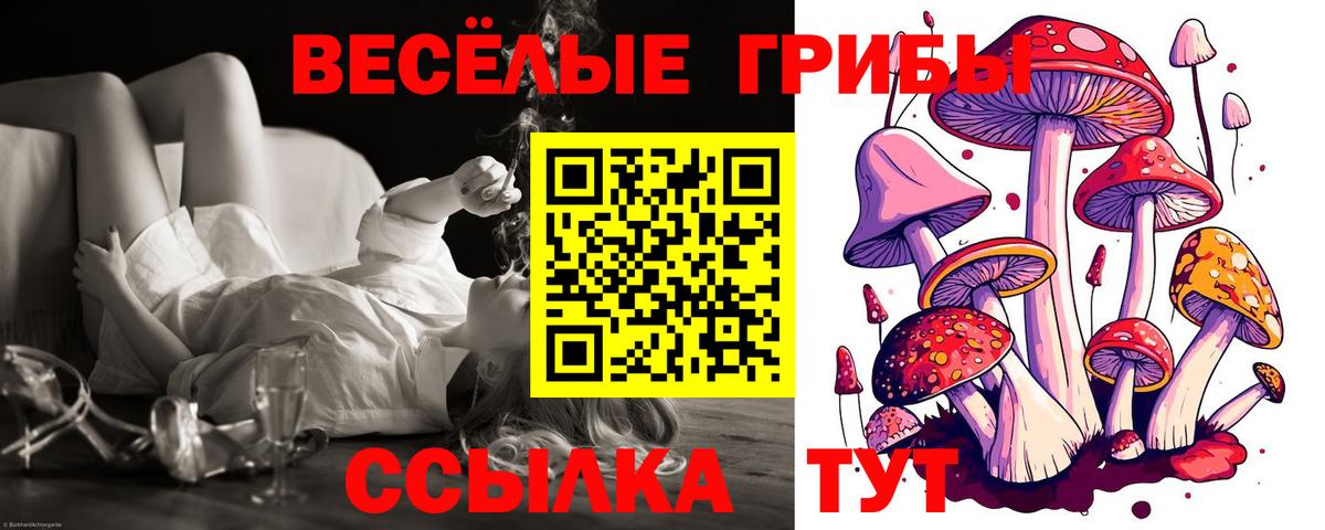 Пенза  Псилоцибиновые грибы прущие грибы  закладки  Галлюциногенные грибы Magic Shrooms  Вход с VPN 